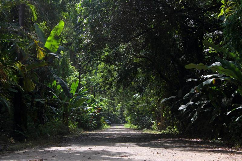 Mambuca Village Pensão Ubatuba